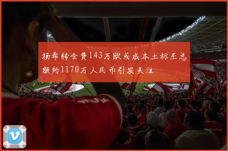杨希转会费143万欧或成本土标王总额约1170万人民币引发关注